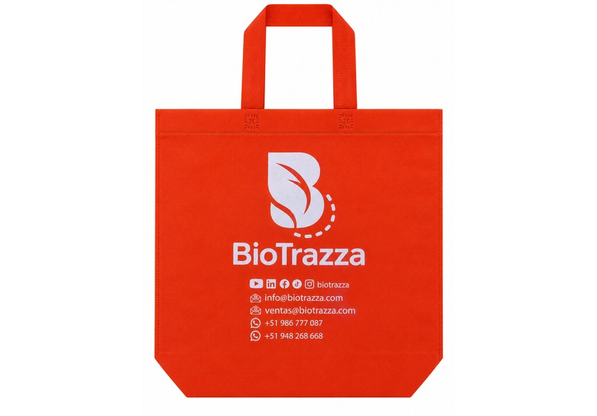 Bolsa Plana