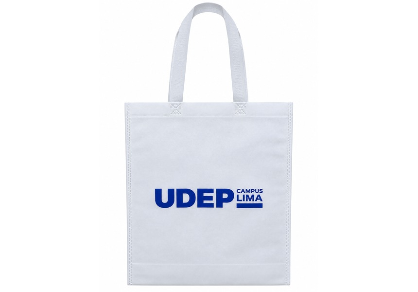 Bolsa Plana